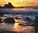 California, Wild & Scenic 2009 Deluxe Wall Calendar