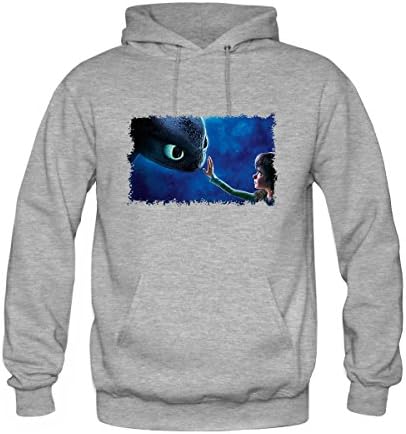 How To Train Your Dragon Mens Custom Personalized No Zipped Fashion Printed Hoodies X-Small Gray