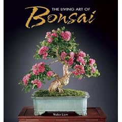 The Living Art of Bonsai