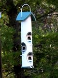 Plastic Squirrel Proof Mixed Seed 2 Qt. Feeder