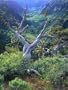 Mountain Mahogany Snags and Sagebrush, Steens Mountain National Recreation Lands, Oregon, USA Photographic Poster Print by Scott T. Smith, 36x48