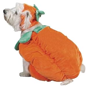 Pumpkin Dog Costume