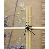 エコ竹 直径3.8cm 長さ183cm 10本セット[生垣・支柱に！]