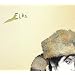albums you may not have heard but really should...