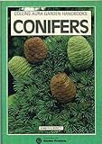 Conifers