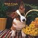 Welsh Corgis 2008 Square Wall Calendar