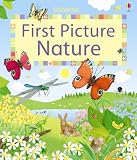 First Picture Nature (First Picture Books) (Usborne First Picture Books)
