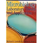 Microbiology: Laboratory Theory and Application by Michael J. Leboffe and Burton E. Pierce