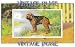 2.75 inch x 2 inch (7.5 x 5cm) Acrylic Fridge Magnet Dogs Otterhound Vintage Image