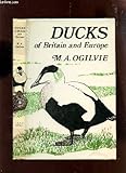 Ducks of Britain and Europe