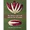 Beautiful Books on Italian Food
