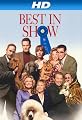 play video on Amazon Instant Video