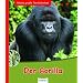 Der Gorilla