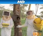play video on Amazon Instant Video
