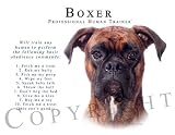 Boxer UNCROPPED Human Trainer Mouse Pad Dog Mousepad