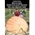How-to-Grow World Class Giant Pumpkins The All-Organic Way