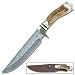 Damascus Filework Bowie Knife