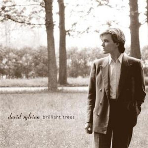 David Sylvian Foto 16
