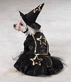 X-SMALL - LITTLE WITCH - Dog Halloween Costume