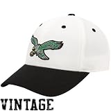 NFL Men's End Zone Retro Logo Wool Cap - N108Z (Philadelphia Eagles, One Size Fits All)