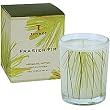 Thymes Frasier Fir Candle Votive 65g / 2.25oz