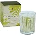 Thymes Frasier Fir Candle Votive 65g / 2.25oz