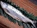 能本水産 北海道 十勝産 新巻鮭 約2.8kg