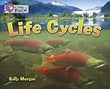 Life cycles