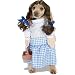 Wizard of Oz Dorothy Small Pet Costume