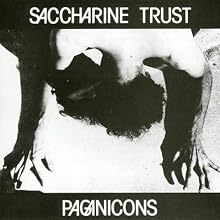 Paginicons