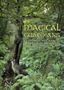 Magical Guardians: Exploring The Nature And Spirits Of The Trees