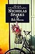 Safe Haven (Hardcover)