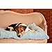 Pet Dreams Dog Crate Pad - Washable Kennel Mat, Crate Pads for Dog Cages, Non-Toxic, Flat Indoor Cat Bed, Fits iCrate 18, 24, 30, 36, 42, 48 Inches (Beige, XL, 42 Inch)
