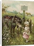 Canvas Prints of Girl Feeds Donkey C1890 from Mary Evans