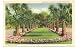 1930s Vintage Postcard Entrance to Beautiful Silver Springs Florida