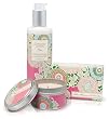 M Luxe Gift Set (Olive Blossom Coriander)