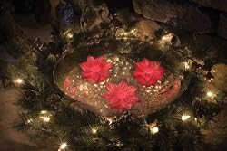AquaGlow - Floating Light Poinsettas, 3 pack