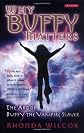 Why Buffy Matters