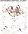 Beatrix Potter Tom Kitten Birth Sampler Cross Stitch Pattern