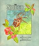 The spider