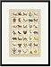 Black Framed/Matted Print 17x23, Heraldic Symbols - Sagittarius, Spinx, et al.