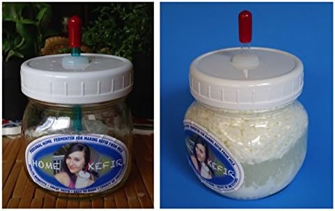 Kefir Fermenter: Pint (473ml) Size, Portable, for Use at Work and Home