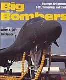 Big bombers : Strategic Air Command's B-52s, Swingwings, and Stealth