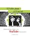 15 Minutes of Fame: Becoming a Star in the YouTube Revolution
