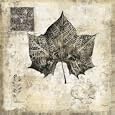 London Plane Impression Art Poster Print, 16x16