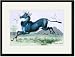 Black Framed/Matted Print 17x23, The Nyl-Ghau