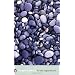 15 all-time classic novels