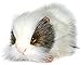 Hansa Guinea Pig Plush, Gray/White