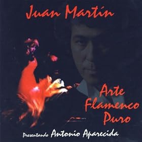 Arte Flamenco Puro