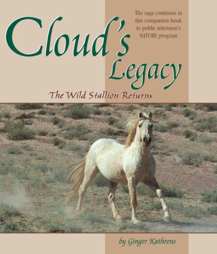 Cloud's Legacy: The Wild Stallion Returns